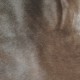 Retal piel de pelo nr. 6